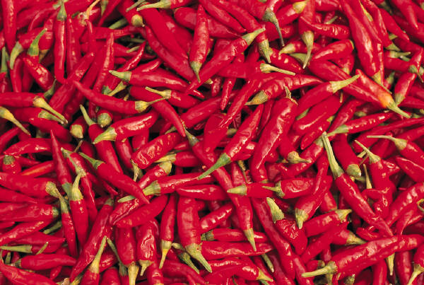 chiles.jpg