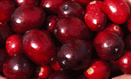 cranberries.gif