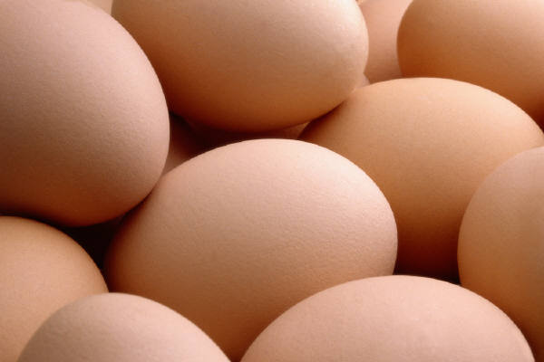 eggs.jpg