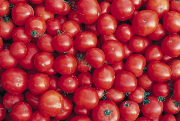 tomatoes.jpg